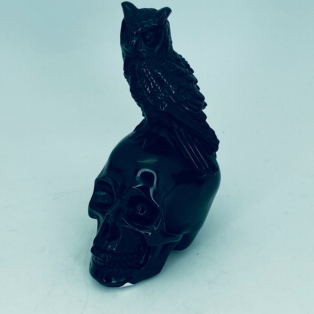Black Onyx Hand Carved Human Skull with Owl