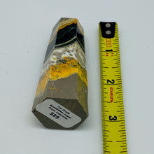 將圖片載入圖庫檢視器 Bumblebee Jasper Point
