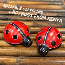 Cargar imagen en el visor de la galería, Soapstone Ladybug
