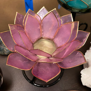 Capiz Shell Lotus 5” Tealights