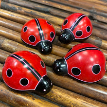 Cargar imagen en el visor de la galería, Soapstone Ladybug
