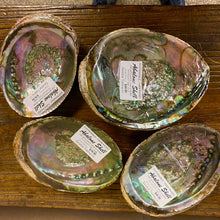 Load image into Gallery viewer, Abalone Shells for Smudging, Farm Raised

