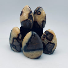 將圖片載入圖庫檢視器 Septarian Nodule Free forms
