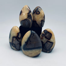 将图片加载到图库查看器，Septarian Nodule Free forms
