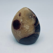 将图片加载到图库查看器，Septarian Nodule Free forms
