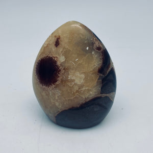 Septarian Nodule Free forms