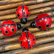 Cargar imagen en el visor de la galería, Soapstone Ladybug

