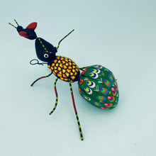 將圖片載入圖庫檢視器 Fancy Bugs by Conception Aguilar
