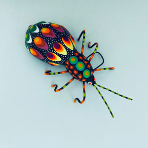 Bugs by Conception Aguilar - 2