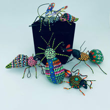 將圖片載入圖庫檢視器 Fancy Bugs by Conception Aguilar
