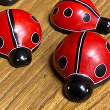 Cargar imagen en el visor de la galería, Soapstone Ladybug
