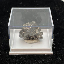 将图片加载到图库查看器，Iron Meteorites, Argentina
