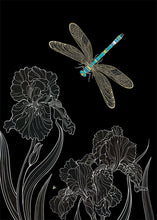 Cargar imagen en el visor de la galería, Bug Art Greeting Cards - Jewels (M)

