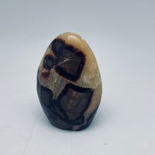 将图片加载到图库查看器，Septarian Nodule Free forms
