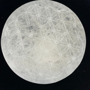 Selenite Specimen(s)