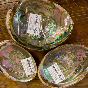 Abalone Shells for Smudging, Farm Raised