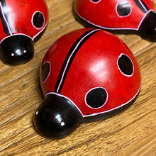 Cargar imagen en el visor de la galería, Soapstone Ladybug
