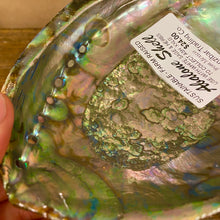 Cargar imagen en el visor de la galería, Abalone Shells for Smudging, Farm Raised
