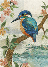 将图片加载到图库查看器，Bug Art Greeting Cards - Amy&#39;s Cards a044
