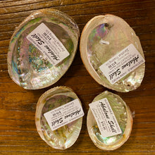 Load image into Gallery viewer, Abalone Shells for Smudging, Farm Raised
